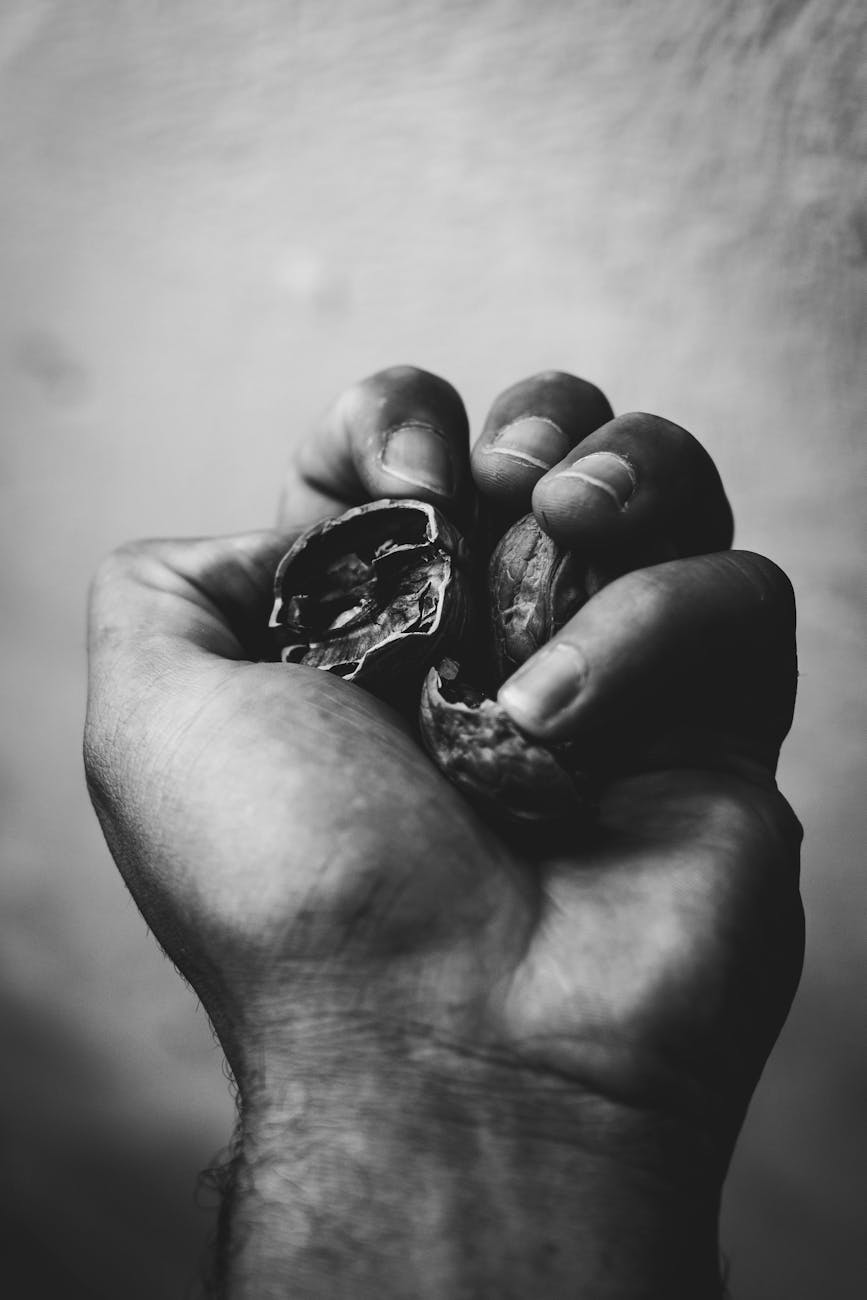 a person s fist with walnuts
