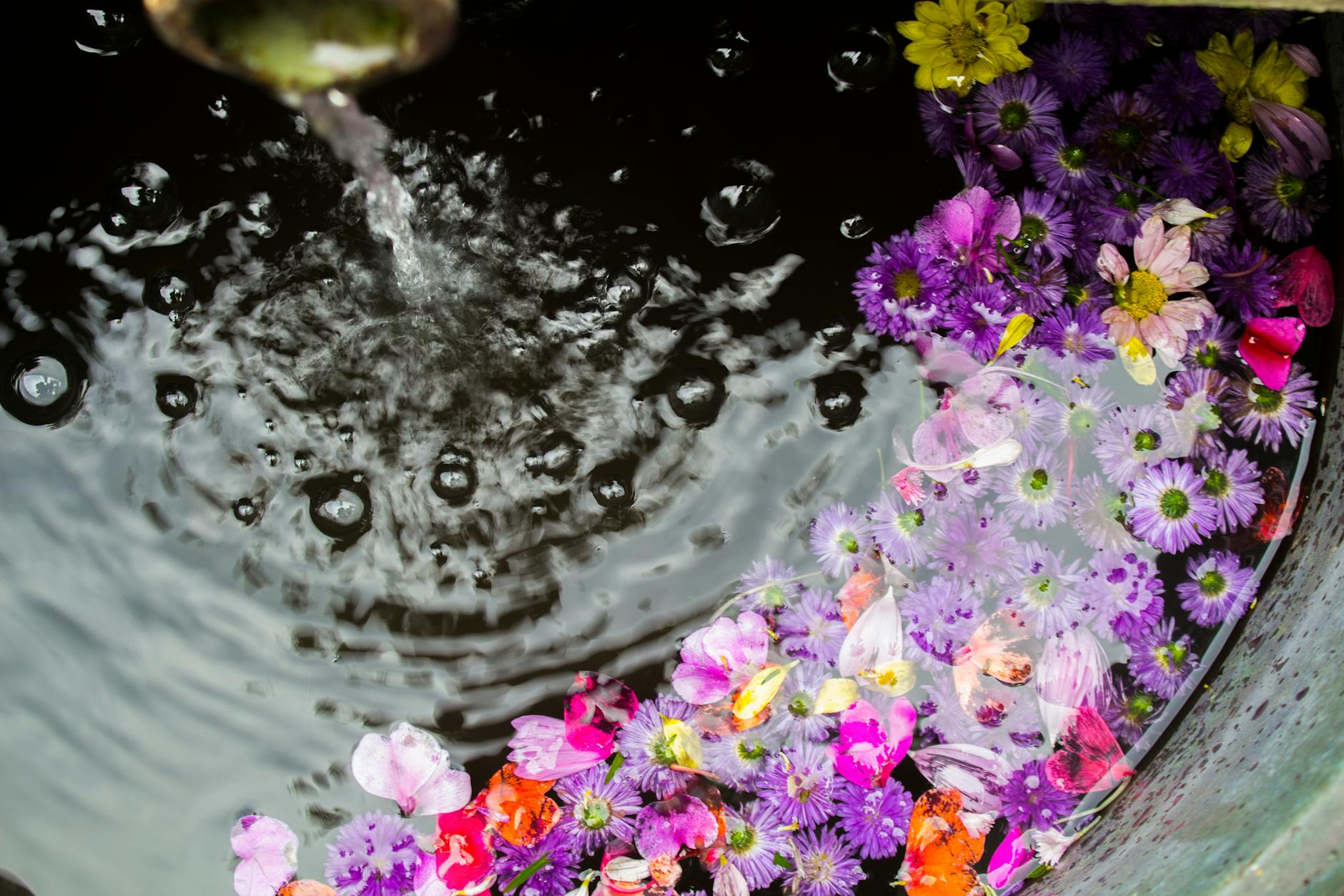 flowers floating on water