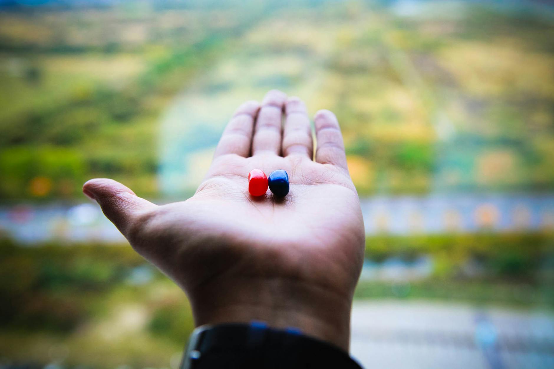 red and blue jelly beans on person s left palm